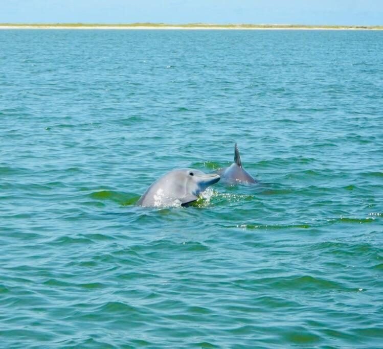 Pet Friendly Tranquil Cottage With Fire-Pit And Seasonal Hot Tub Sept-March Minutes To Beaches Dauphin Island Eksteriør bilde